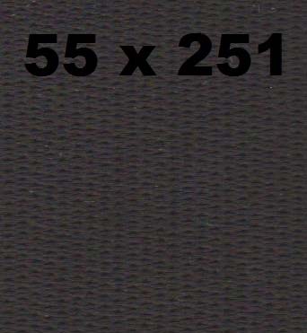 55 x 251