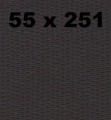 55 x 251